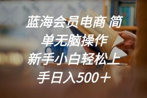 (11068期)蓝海会员电商 简单无脑操作 新手小白轻松上手日入500+