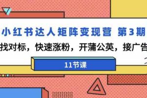 小红书达人矩阵变现营第3期，找对标，快速涨粉，开蒲公英，接广告（11节课）