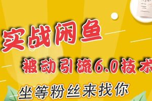 狼叔实战闲鱼被动引流6.0技术，坐等粉丝来找你，打造赚钱的ip(16节课+话术指导)