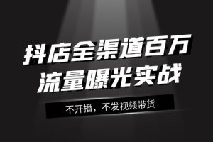 抖店全渠道百万流量曝光实战，不开播，不发视频带货（16节课）