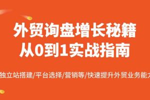 外贸询盘增长秘籍从0到1实战指南，独立站搭建/平台选择/营销等/快速提升外贸业务能力