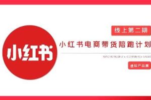 2025小红书虚拟电商实战课，从0到1打造无货源店铺，AI+爆款笔记轻松变现