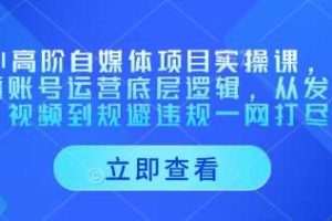 AI高阶自媒体项目实操课，讲透账号运营底层逻辑，从发布视频到规避违规一网打尽