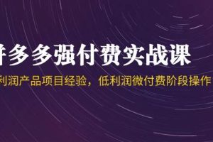 （14874期）拼多多强付费实战课-44期，高利润产品项目经验，低利润微付费阶段操作