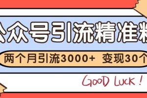 公众号私域获客，软文引流个人IP打造日引30+，快速沉淀起自己的私域流量池