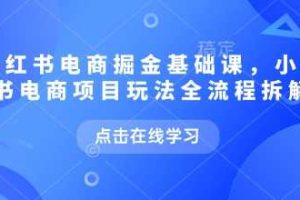 小红书电商掘金课，小红书电商项目玩法全流程拆解（更新7月）