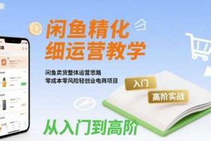 闲鱼精细化运营入门+高阶实战教学，闲鱼卖货整体运营思路，零成本零风险轻创业电商项目