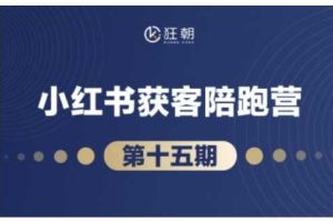 抖音小红书视频号短视频带货与直播变现(11-18期),打造爆款内容，实现高效变现（更新）
