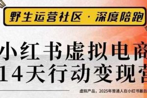 小红书虚拟电商14天变现训练营3.0，​虚拟产品，2025年普通人在小红书最后的搞钱机会