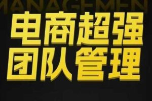 电商超强团队管理，组织绩效，到用人执行，分权合伙
