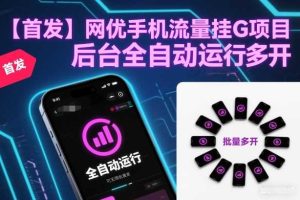 【首发】网优手机流量挂G项目，后台全自动运行，可无限批量多开【揭秘】