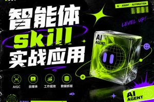 智能体skill实战应用，为寻求利用智能体进行工作提效的人打造，案例演示，纯实战课