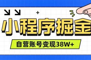 （19315期）微信小程序掘金，团队自营小程序累计变现38W+，稳定运营三年，一部手机即可操作