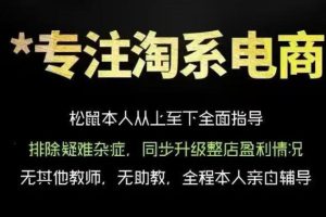 松鼠会电商VIP课程，从基础布局到高阶优化，助你掌握淘宝运营逻辑，提升店铺流量与转化（更新0711）