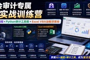 财会审计专属AI实战训练营｜AI协同编程+Python审计工具箱+Excel VBA加载项落地（更新0710）