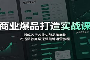 商业爆品打造实战课：拆解各行各业头部品牌案例，吃透爆款底层逻辑落地运营教程