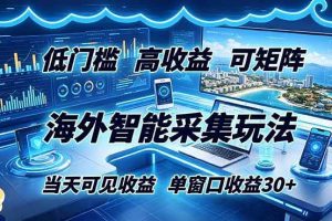 （18955期）海外智能采集玩法，低门槛高单价可矩阵，当天可见收益，单窗口30+