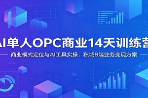 AI单人OPC商业14天训练营：商业模式定位与AI工具实操，私域B端业务变现方案