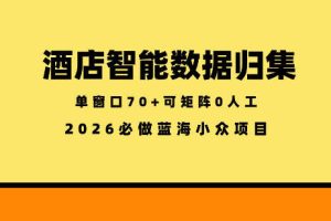 酒店智能数据归集，小众蓝海已经稳定半年之久，单窗口70+零成本矩阵开干【揭秘】