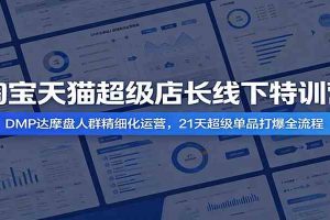 淘宝天猫超级店长线下特训营：DMP达摩盘人群精细化运营，21天超级单品打爆全流程