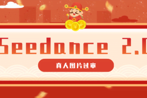 9套提示词教你真人图片过审，搞定即梦Seedance 2.0真人视频（附全套提示词）