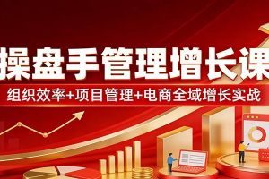 操盘手管理增长课：组织效率+项目管理+电商全域增长实战